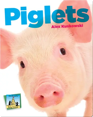 Piglets book