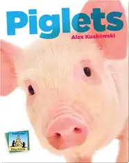 Piglets
