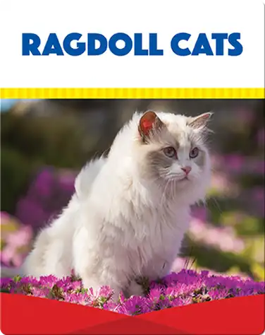 Ragdoll Cats book