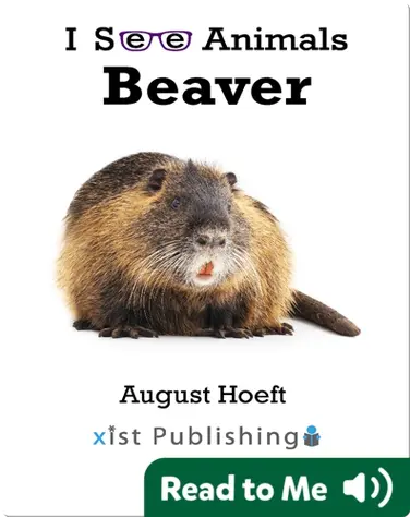 I See Animals: Beaver book