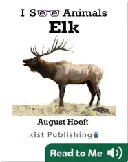 I See Animals: Elk