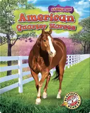 Saddle Up!: American Quarter Horses