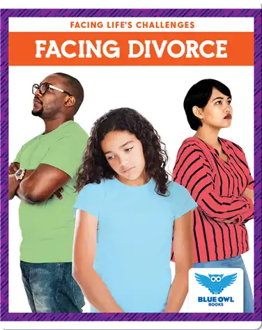 Facing Life's Challenges: Facing Divorce book