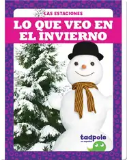 Lo que veo en el invierno (What I See in Winter)