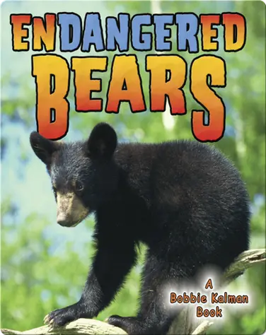 Endangered Bears book