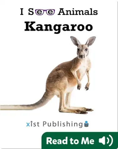 I See Animals: Kangaroo book