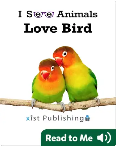 I See Animals: Love Bird book