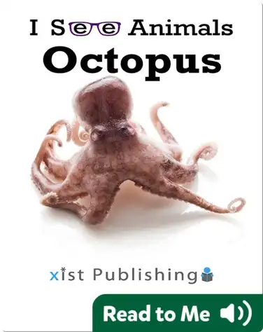 I See Animals: Octopus book