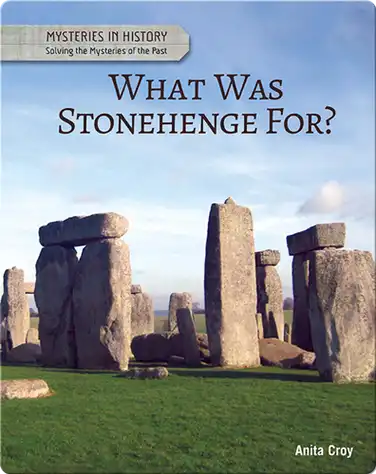 What Was Stonehenge For? book