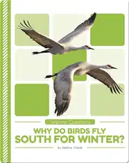 Science Questions: Why Do Birds Fly South for Winter?
