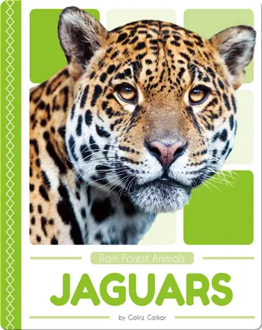 Rain Forest Animals: Jaguars book