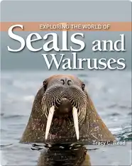 Exploring the World of Seals and Walruses