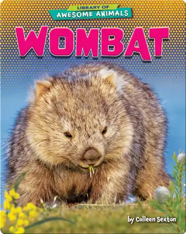 Awesome Animals: Wombat book