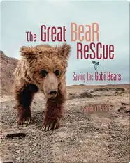The Great Bear Rescue: Saving the Gobi Bears