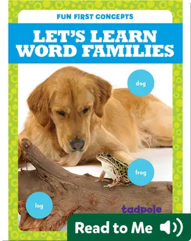 Let's Learn Word Families book