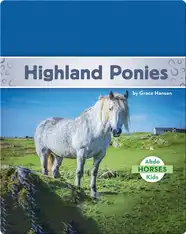 Highland Ponies