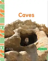 Animal Homes: Caves