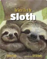 The Secret Life of the Sloth