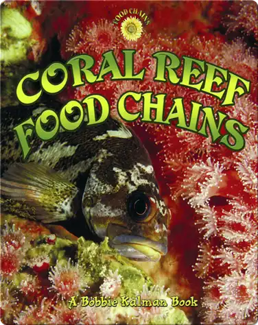 Coral Reef Food Chains book