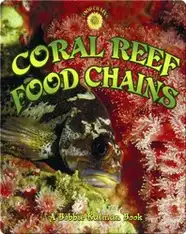 Coral Reef Food Chains