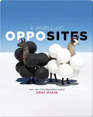 A World of Opposites
