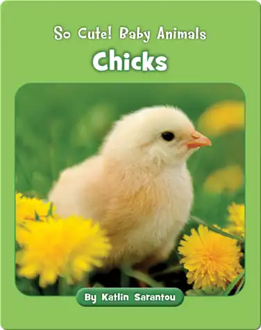 So Cute! Baby Animals Chicks book