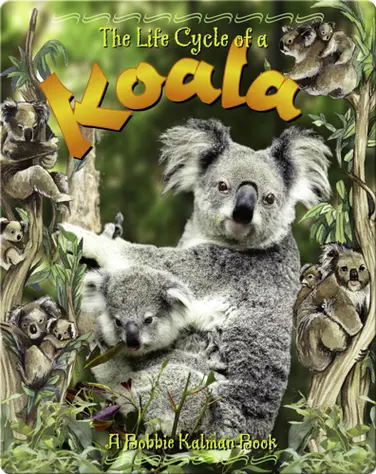 The Life Cycle of a Koala book