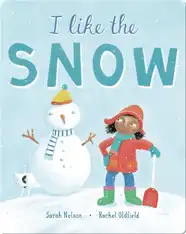 I Like the Snow