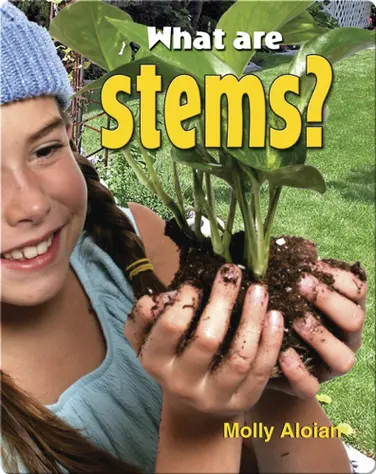 What Are Stems? book