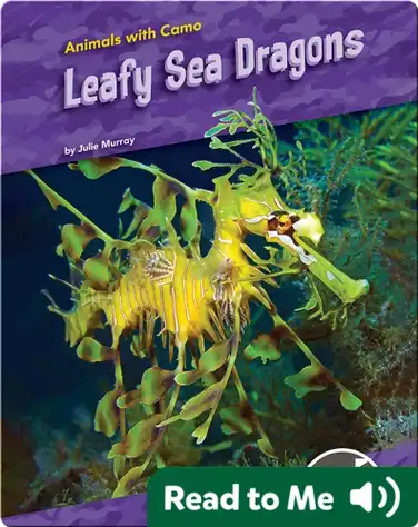 Animals With Camo: Leafy Sea Dragons book