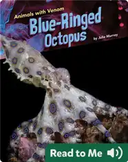 Animals with Venom: Blue-Ringed Octopus
