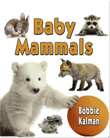 Baby Mammals book