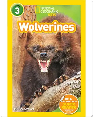 National Geographic Readers: Wolverines book