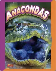 Slithering Snakes: Anacondas