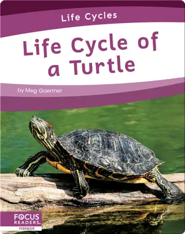 Life Cycle of a Turtle book