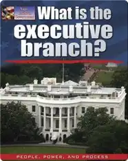 What is the Executive Branch?