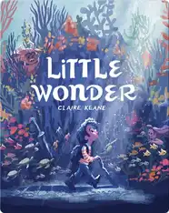 Little Wonder