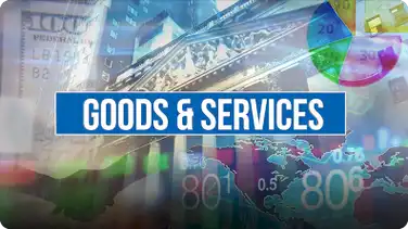 Economics Course: Goods and Services book