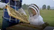 I Love: Beekeeping