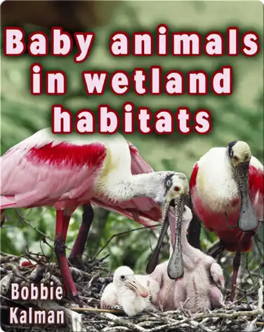 Baby Animals in Wetland Habitats book