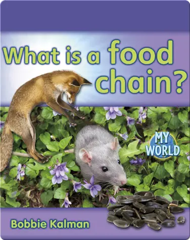 What Is a Food Chain? book
