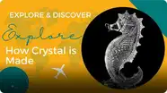 Explore and Discover: Explore How Crystal is Made