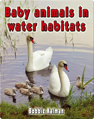 Baby Animals in Water Habitats book