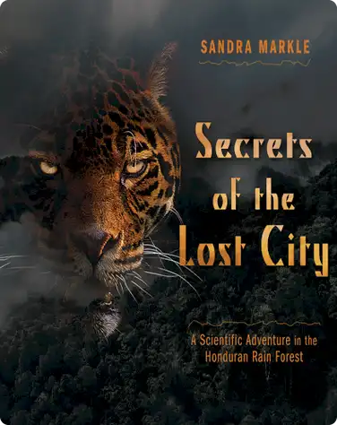 Secrets of the Lost City book