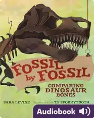 Fossil by Fossil: Comparing Dinosaur Bones