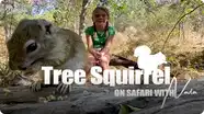 On Safari With Nala: Tree Squirrels