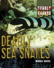 Deadly Snakes: Deadly Sea Snakes
