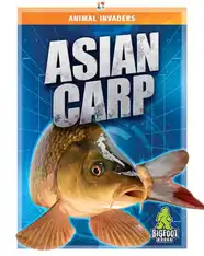 Animal Invaders: Asian Carp