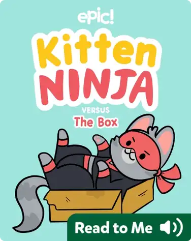 Kitten Ninja Versus the Box book