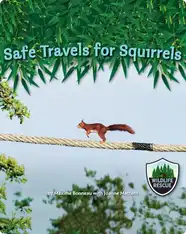 Safe Travels for Squirrels